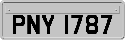 PNY1787