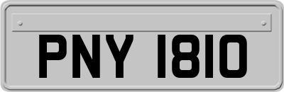 PNY1810