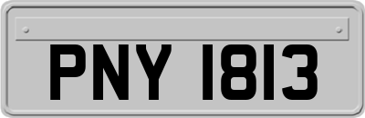 PNY1813
