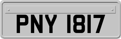 PNY1817