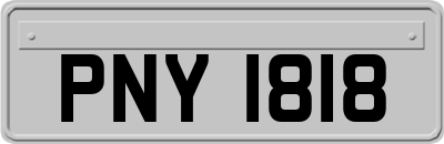 PNY1818