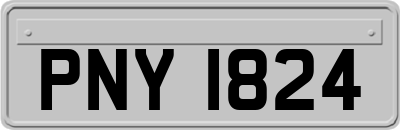 PNY1824