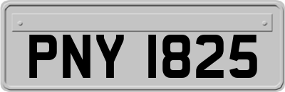 PNY1825