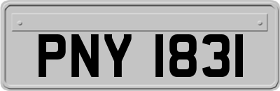 PNY1831