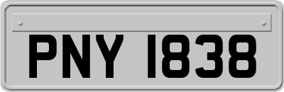 PNY1838