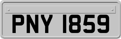 PNY1859