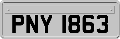 PNY1863