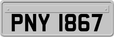 PNY1867