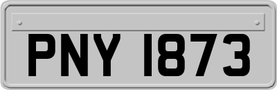 PNY1873