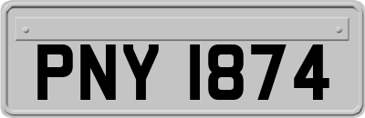 PNY1874