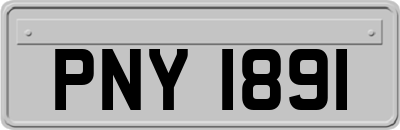 PNY1891