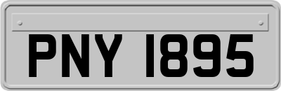 PNY1895