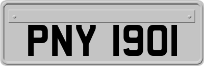 PNY1901