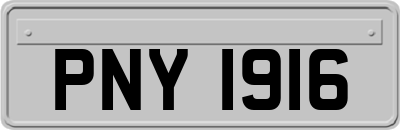 PNY1916