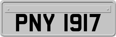 PNY1917
