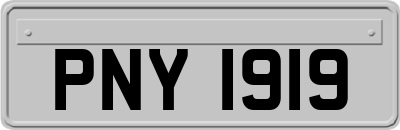 PNY1919