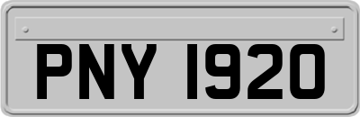 PNY1920