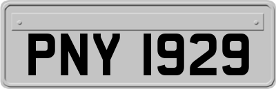 PNY1929