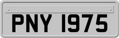 PNY1975