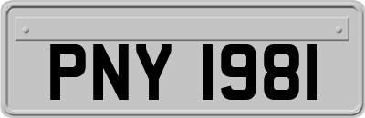 PNY1981
