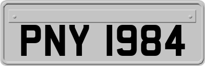 PNY1984