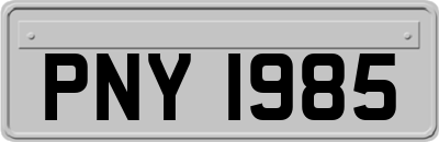 PNY1985