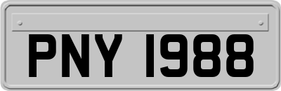 PNY1988