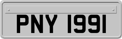 PNY1991
