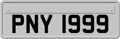PNY1999