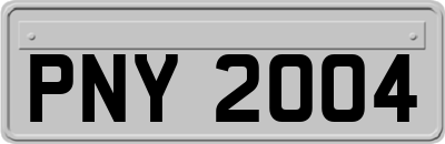 PNY2004