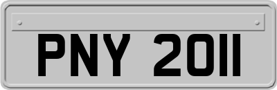 PNY2011