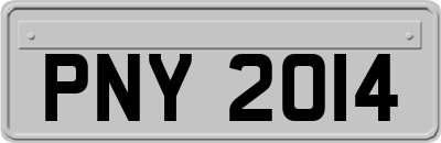 PNY2014