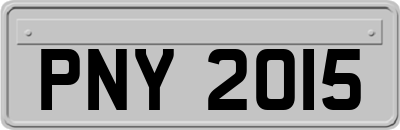 PNY2015