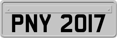 PNY2017