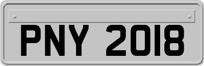 PNY2018