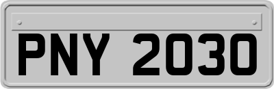 PNY2030