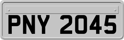 PNY2045