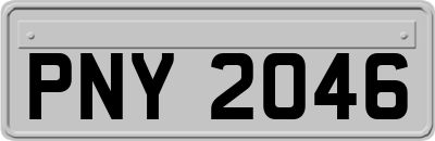 PNY2046