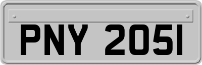 PNY2051