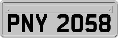 PNY2058