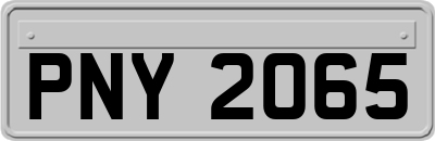 PNY2065