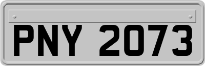 PNY2073