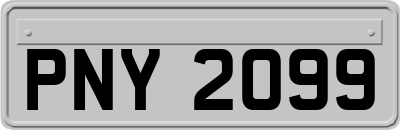 PNY2099