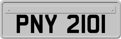 PNY2101