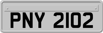 PNY2102