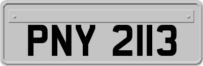 PNY2113