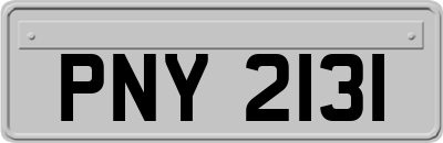 PNY2131