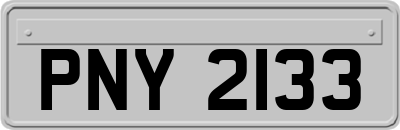 PNY2133
