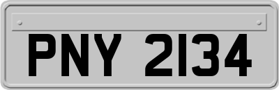 PNY2134