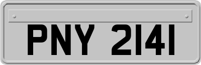 PNY2141